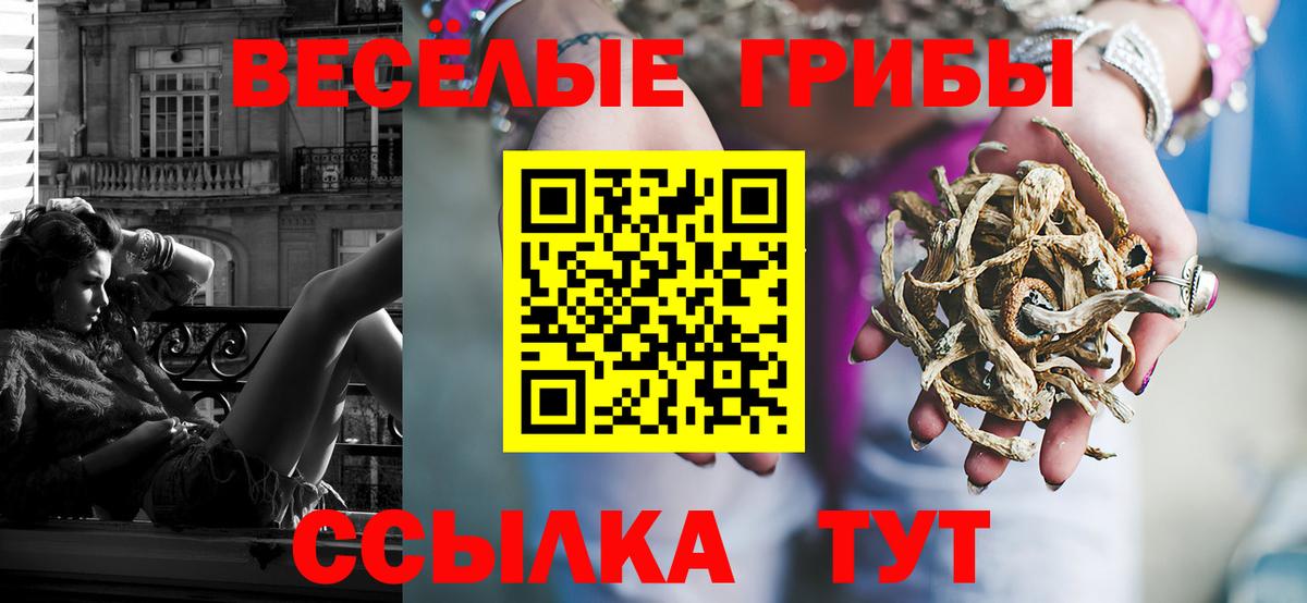 Псилоцибиновые грибы Cubensis Рассказово
