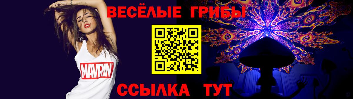 Рассказово  Псилоцибиновые грибы GOLDEN TEACHER  Вход с VPN 