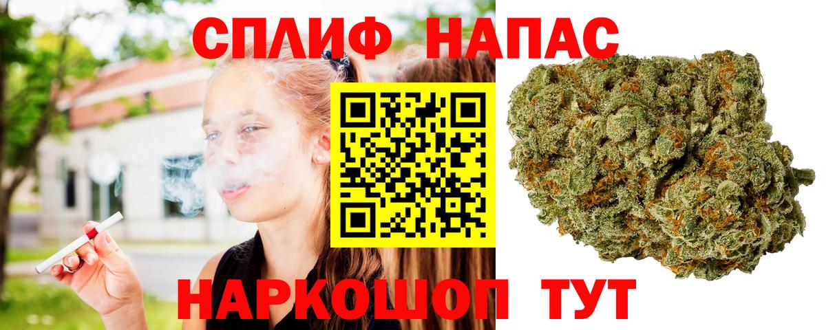 Бошки Шишки сатива Рассказово
